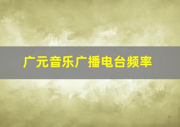 广元音乐广播电台频率