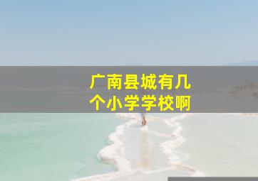 广南县城有几个小学学校啊