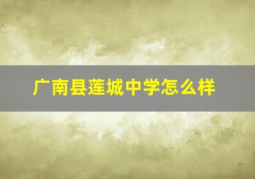 广南县莲城中学怎么样