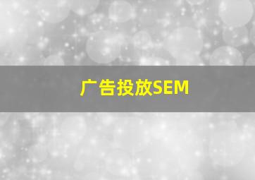 广告投放SEM