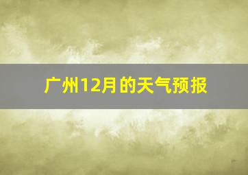 广州12月的天气预报