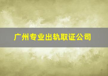 广州专业出轨取证公司