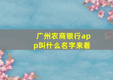 广州农商银行app叫什么名字来着