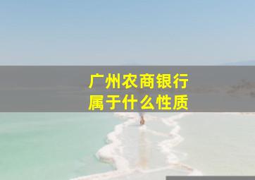 广州农商银行属于什么性质