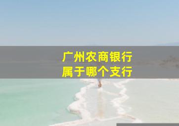 广州农商银行属于哪个支行