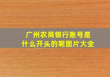 广州农商银行账号是什么开头的呢图片大全