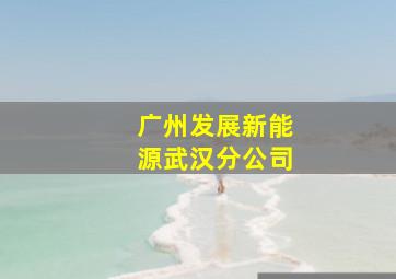 广州发展新能源武汉分公司