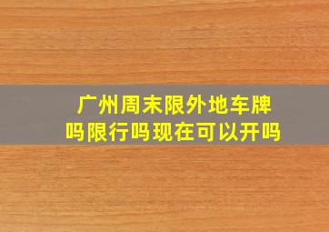 广州周末限外地车牌吗限行吗现在可以开吗