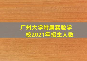 广州大学附属实验学校2021年招生人数