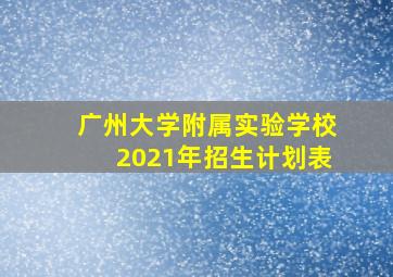 广州大学附属实验学校2021年招生计划表