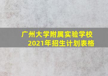 广州大学附属实验学校2021年招生计划表格