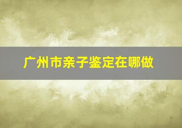 广州市亲子鉴定在哪做