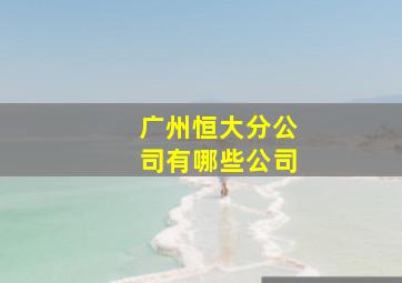 广州恒大分公司有哪些公司