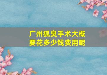 广州狐臭手术大概要花多少钱费用呢