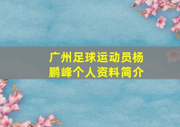 广州足球运动员杨鹏峰个人资料简介