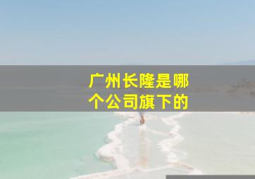 广州长隆是哪个公司旗下的