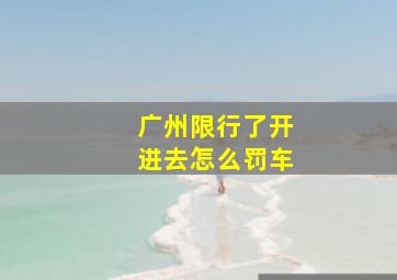 广州限行了开进去怎么罚车