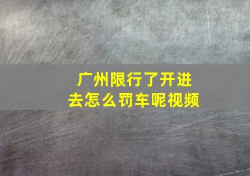 广州限行了开进去怎么罚车呢视频