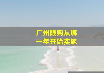 广州限购从哪一年开始实施