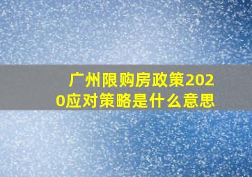 广州限购房政策2020应对策略是什么意思