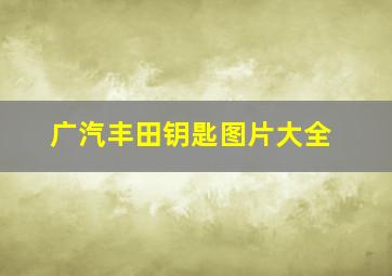 广汽丰田钥匙图片大全