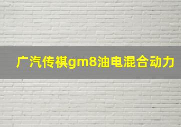 广汽传祺gm8油电混合动力