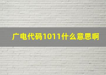 广电代码1011什么意思啊