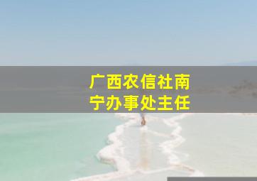 广西农信社南宁办事处主任