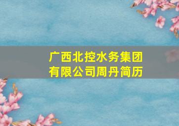 广西北控水务集团有限公司周丹简历