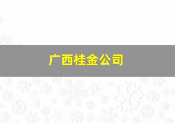 广西桂金公司