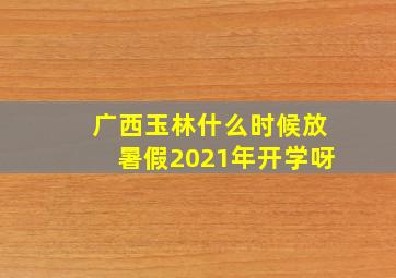 广西玉林什么时候放暑假2021年开学呀