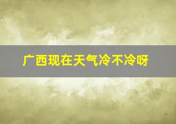 广西现在天气冷不冷呀