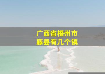 广西省梧州市藤县有几个镇