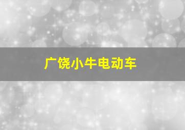 广饶小牛电动车