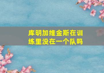 库明加维金斯在训练里没在一个队吗