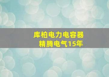 库柏电力电容器精腾电气15年