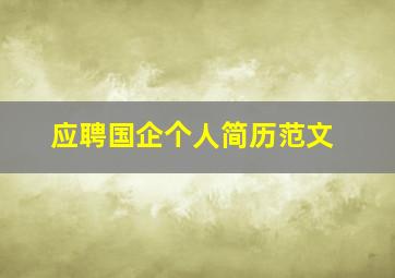 应聘国企个人简历范文