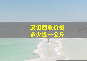 废钼回收价格多少钱一公斤