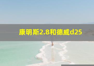 康明斯2.8和德威d25