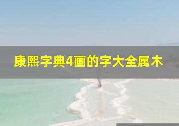 康熙字典4画的字大全属木