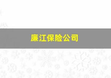 廉江保险公司