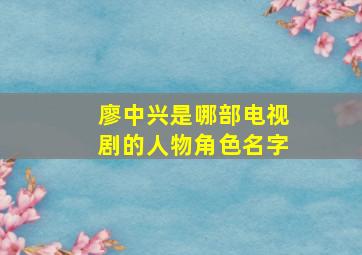 廖中兴是哪部电视剧的人物角色名字