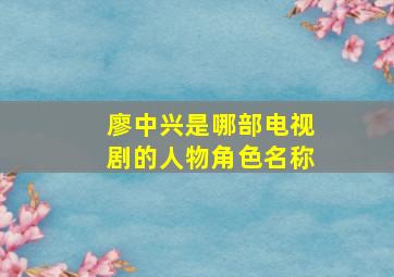 廖中兴是哪部电视剧的人物角色名称