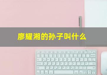 廖耀湘的孙子叫什么