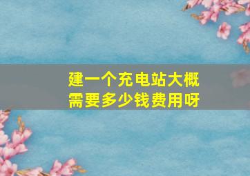 建一个充电站大概需要多少钱费用呀