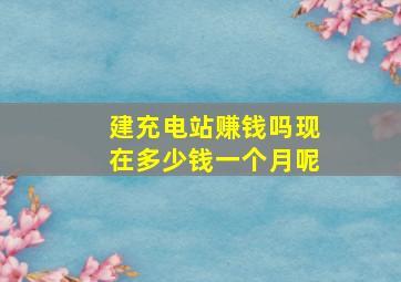 建充电站赚钱吗现在多少钱一个月呢