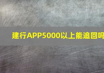 建行APP5000以上能追回吗