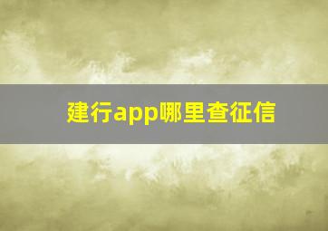 建行app哪里查征信