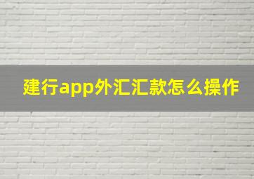 建行app外汇汇款怎么操作