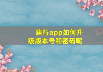 建行app如何升级版本号和密码呢